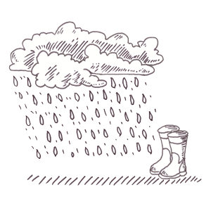 Things to do Island: Eine Strandwanderung bei Regen