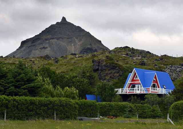 Goldregenpfeifer, an der Küste