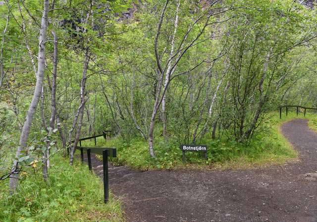 Wanderweg durch die Ásbyrgi Schlucht