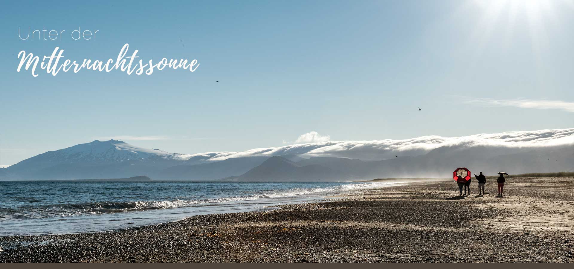 Wollt ihr Euch einmal wie die  Hauptdarstellerin in einem Horrorfilm fühlen? Ganz einfach! Betretet das Brutgebiet der Küstenseeschwalbe und schon seid ihr ...