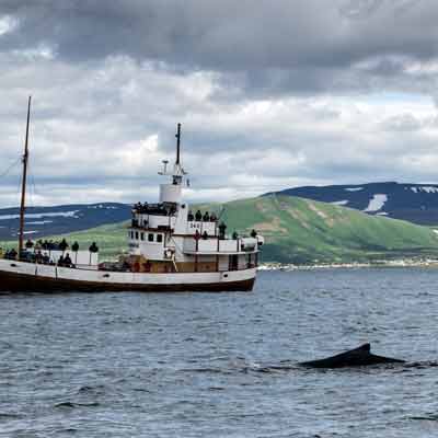 Island: &Iacute;safj&ouml;r&eth;ur