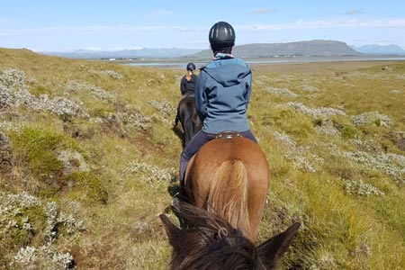hochgelegene Wiesenpfade